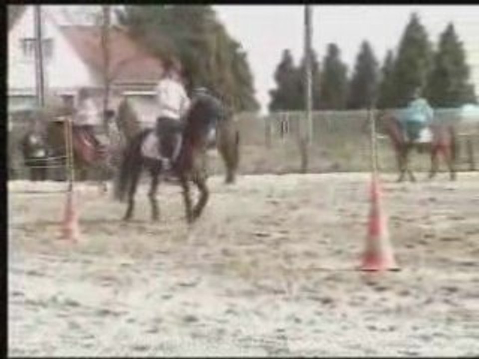 Sultan compète bruille