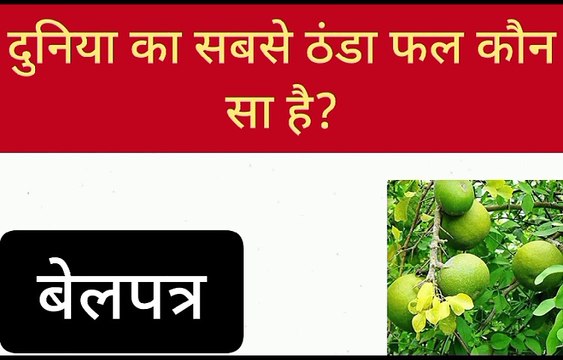 gk question answer || intresting gk || gk in hindi || gk quiz in hindi || gk video || gk quiz
