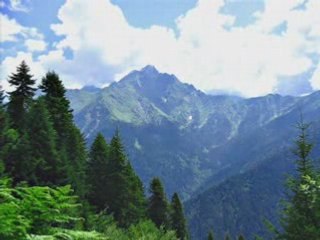 GEORGIA - BAYAR SAHIN-GUNDARIDZE