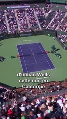 Des abeilles envahissent un court à Indian Wells