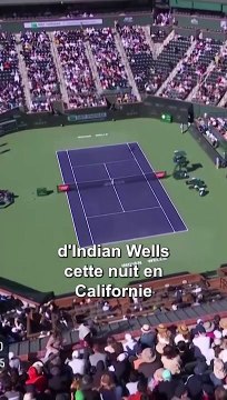 Des abeilles envahissent un court à Indian Wells