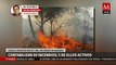 5 Incendios forestales siguen activos en Oaxaca