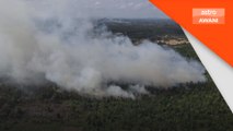 30 hektar hutan tanah gambut di Kuantan terbakar