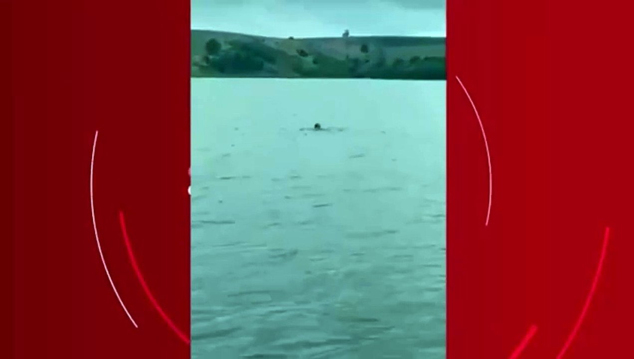 PM usa pedalinho para prender foragido que pulou em lagoa para escapar da polícia no ES
