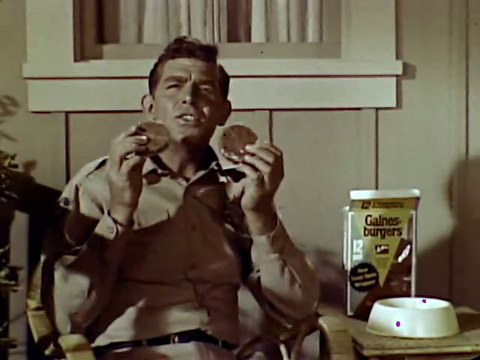 Andy Griffith Show Andy and Opie feeding the dog and homework