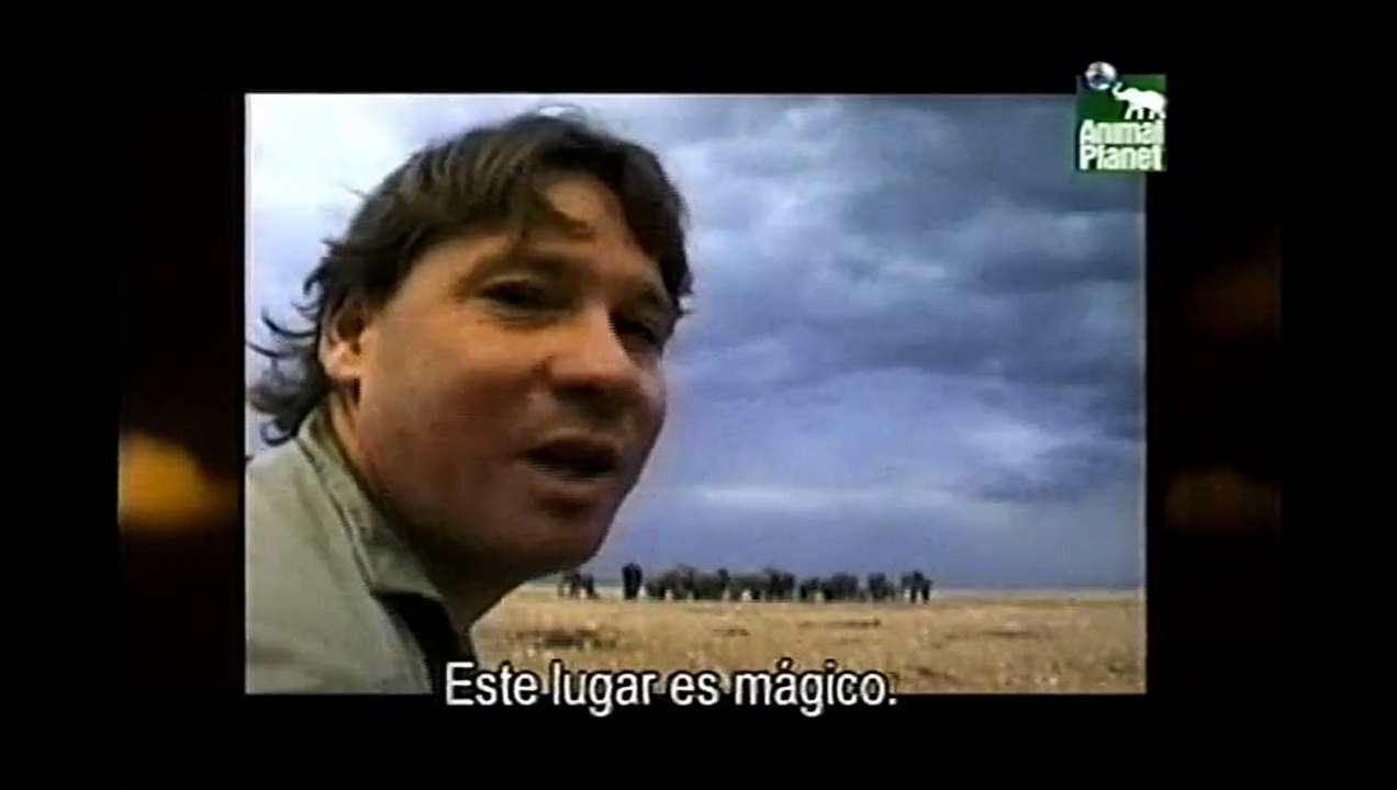 5-Steve Irwin-elephants