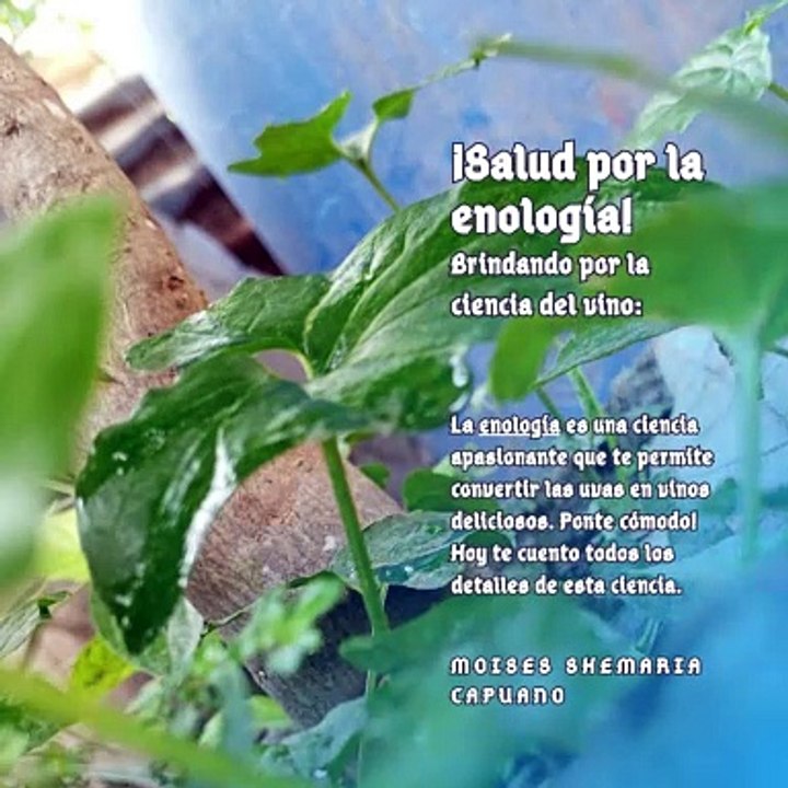 Moises Shemaria Capuano| Creando experiencias inmersivas: La realidad virtual en la producción (Parte 1) (Creado por @MoisesShemariaCapuano)