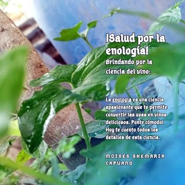 Moises Shemaria Capuano| Creando experiencias inmersivas: La realidad virtual en la producción (Parte 1) (Creado por @MoisesShemariaCapuano)