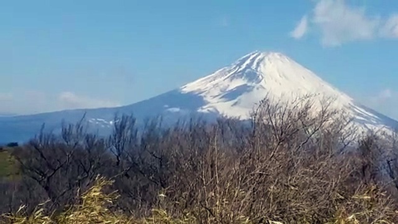 fuji sang