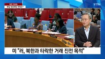 [북한리포트] 유엔 안보리 대북 제재 틀 난파 위기 / YTN