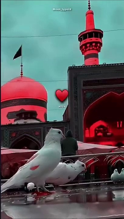 -_ALi Mola ALi ALi -