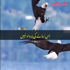 Ye Zamana Badal Jaye Ga ---- _nusratfatehalikhan _nusrat_fateh_ali_khan_fans♥️ _Nfak _nfak_lines _nfak_status_lines _nfaklovers _nfakghazal _nfakstatus _fypシ _fypage _fypforyou _foryou _viral _tiktok _unfrezzmyaccount _ishtiaq413 _unfr(