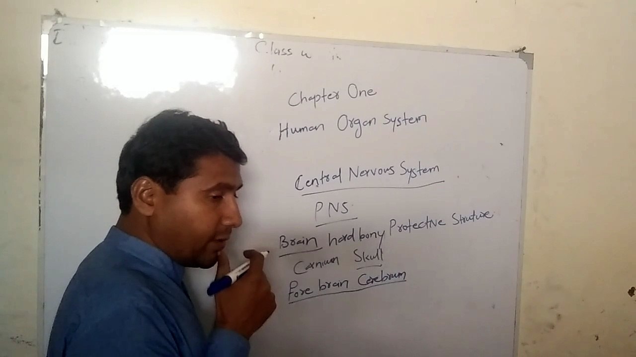 Chapter One Human Organ System part1.