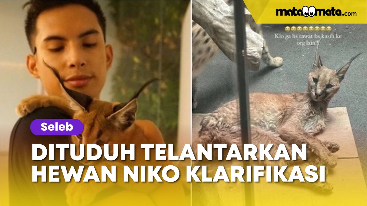 Tak Terima Dituduh Telantarkan Hewan Peliharaan...