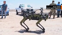 ビデオ：陸上自衛隊、ロボット犬を受領