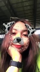 Cute Dog 
