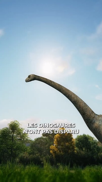 La disparition des dinosaures !