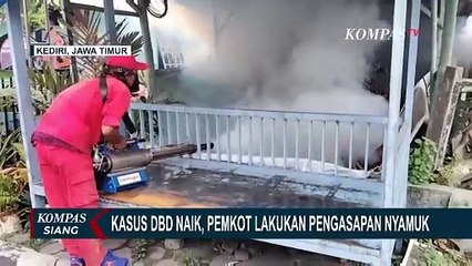 Kasus Penyakit DBD Naik, Pemkot Kediri Gelar Fogging di Sejumlah Titik