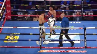 Lindolfo Delgado vs Carlos Sanchez Full Fight HD