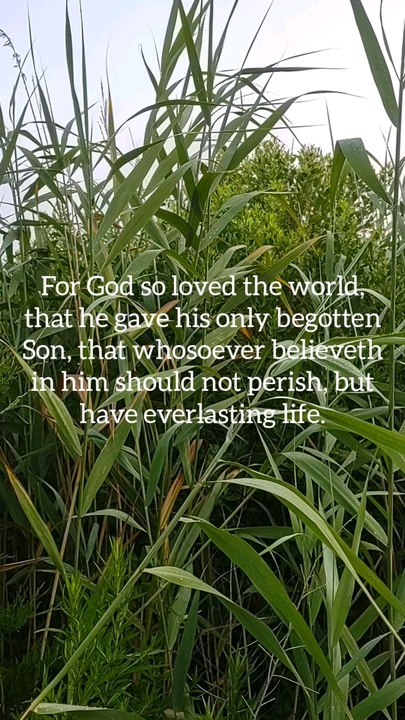 Salvation only in Jesus
