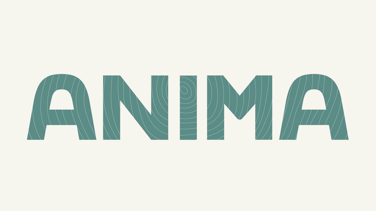 Motion ANIMA