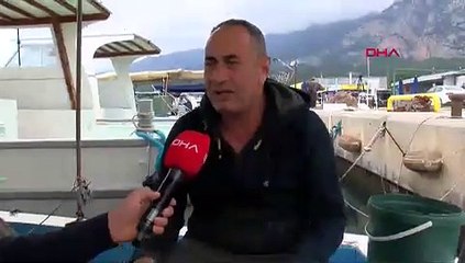 Akdeniz'de ağları yırtan denizanaları için uyarı