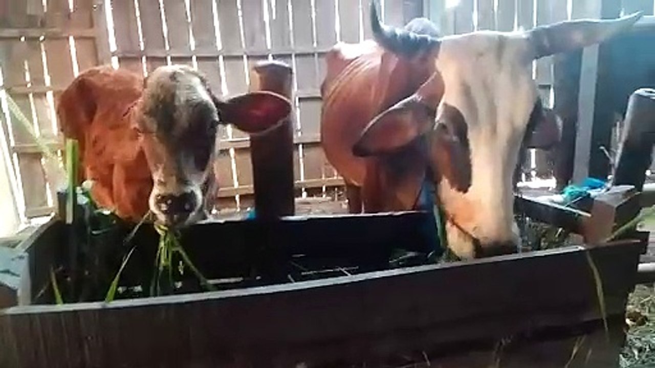 everyone eats