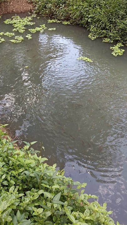 Fishing