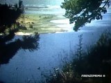 Calabria  Sila Lago Cecita  1967