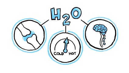 What would happen if you didn’t drink water