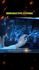 Female_Doctor_#movie_#recap_#film__#movies_#entertainment_#trending_#movierecap_#moviesummary(480p)