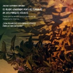 -Jacobo Shemaria Capuano- En resumen: (Parte 2) (Creado por @JacoboShemariaCapuano)