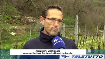 Video News - Agriturismi, Pasqua sold out