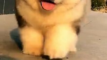 cute