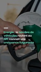Énergie : le nombre de véhicules roulant au GPL connait une croissance fulgurante en Algérie