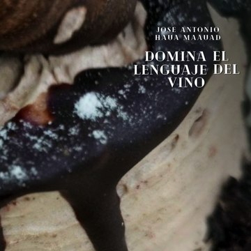 José Antonio Haua Maauad- Descifrando los códigos secretos de las etiquetas de los vinos Francés: