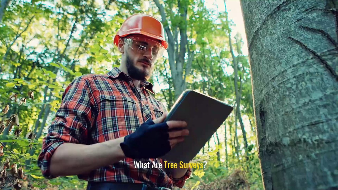 Why Tree Surveys Are Essential for Effective City Planning | Importance of Urban Green Spaces