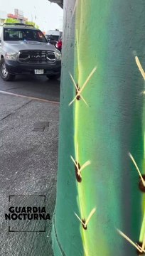 Localizaron un cadáver en los cruces de las avenidas Patria y Vallarta, en Zapopan