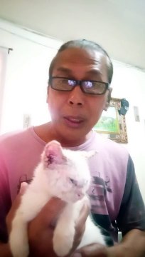Good Morning Everyone ! Pet's Are Family !