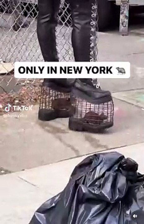 Only In New York City 