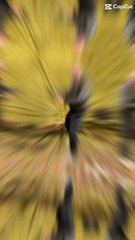 #niceday #goodvibes #goodsaturday #bonweekend #weekend #weekendvibes