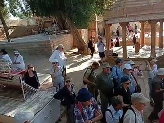 Watch Video: शीतल हवाओं के चलने से मौसम खुशगवार