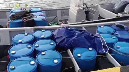 Download Video: En aguas de San Andrés incautaron media tonelada de cocaína, dos colombianos y un panameño capturados