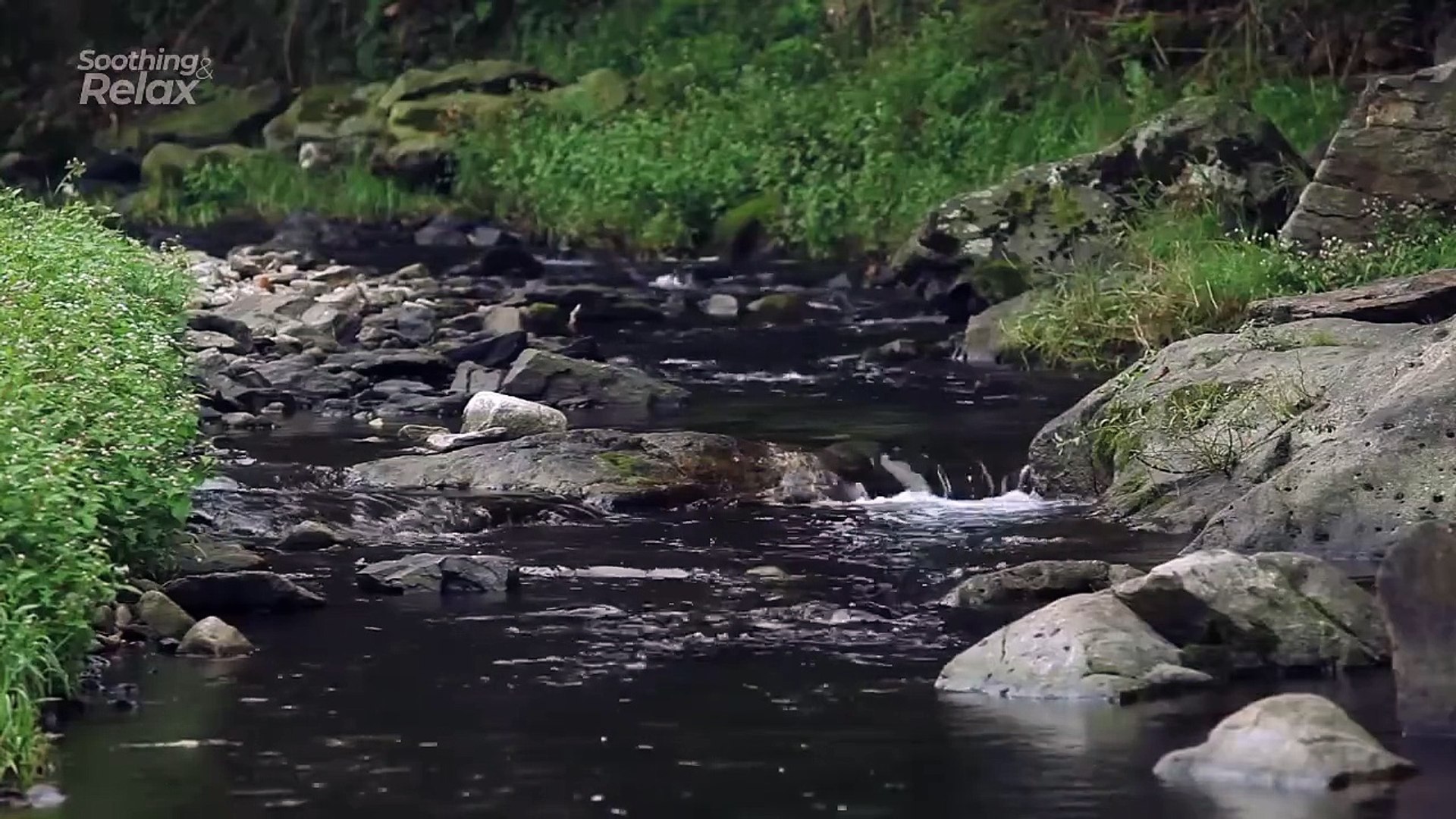 ⁣Water Sound ASMR and Birds Sound for Sleep, Study, and Meditation.