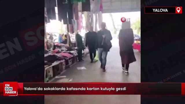 Yalova'da sokaklarda kafasında karton kutuyla gezdi
