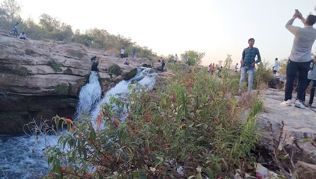 Nesaral park