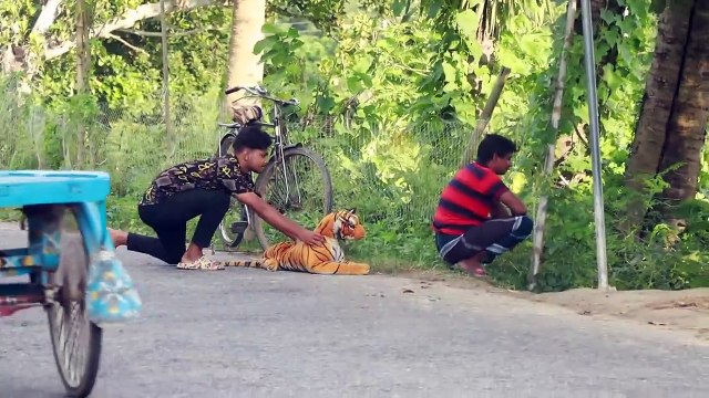 Witness the Crazy Public Reactions in Grandpa's Fake Tiger Prank!