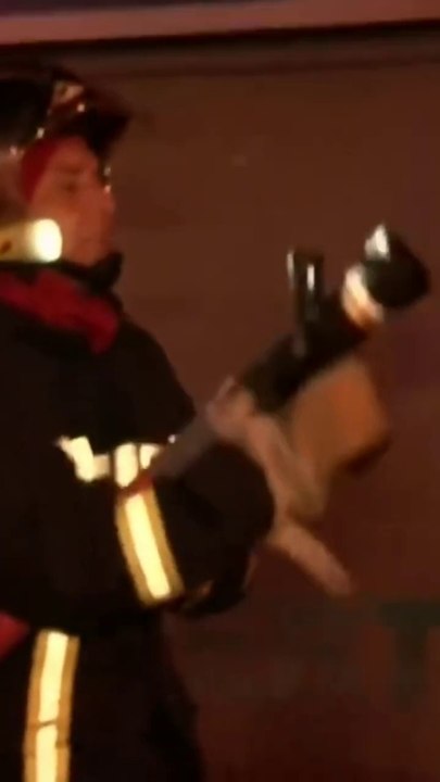 Ils se sont amusés à incendier un magasin