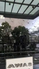 Lanjutan fenomena angin puting beliung