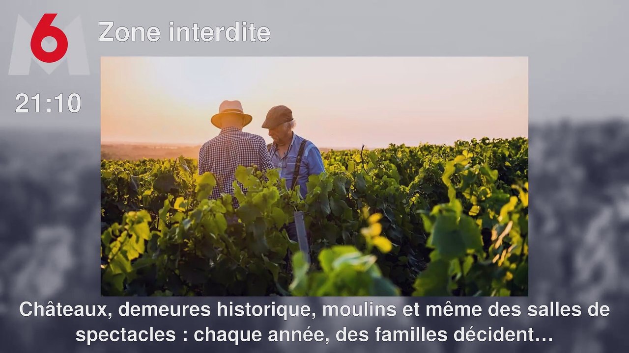 Programme TV soirée du Dimanche 31 mars 2024